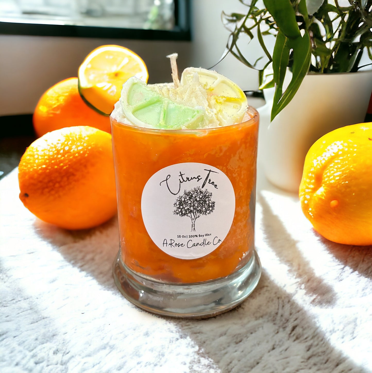 Citrus Tree SMALL